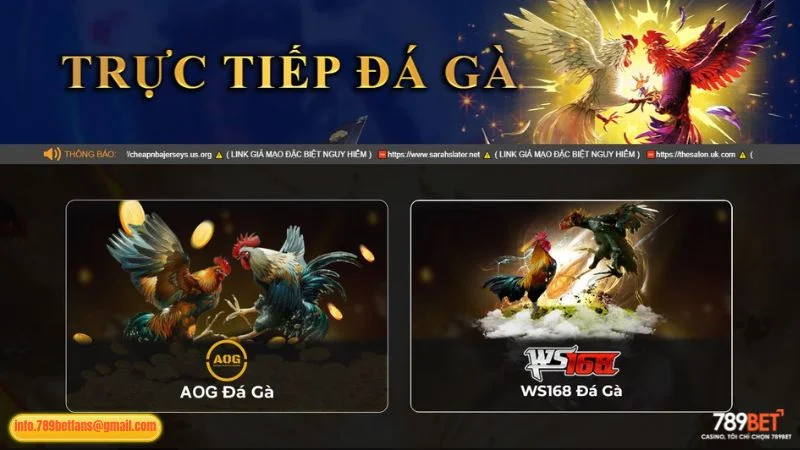 Đá Gà 789BET: Livestream Chất Lượng, Cá Cược Sôi Động 2 Điểm danh các sảnh đá gà chất lượng tại 789BET