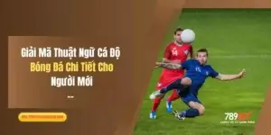 Giải Mã Thuật Ngữ Cá Độ Bóng Đá Chi Tiết Cho Người Mới