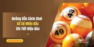 Hướng Dẫn Cách Chơi Xổ Số Miền Bắc Chi Tiết, Hiệu Quả
