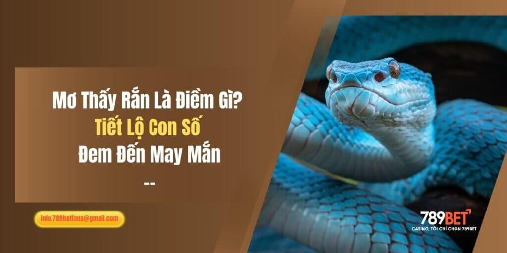 Mơ Thấy Rắn Là Điềm Gì? Tiết Lộ Con Số Đem Đến May Mắn