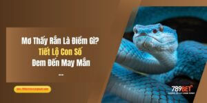 Mơ Thấy Rắn Là Điềm Gì? Tiết Lộ Con Số Đem Đến May Mắn