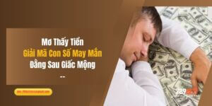 Mơ Thấy Tiền: Giải Mã Con Số May Mắn Đằng Sau Giấc Mộng