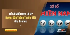 Xổ Số Miền Nam Là Gì? Hướng Dẫn Thông Tin Chi Tiết Cho Newbie